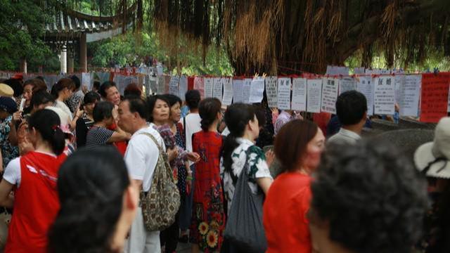 结婚人数再创新低相亲市场挤满了女性婚恋市场正在沦为女儿国必赢(图8)