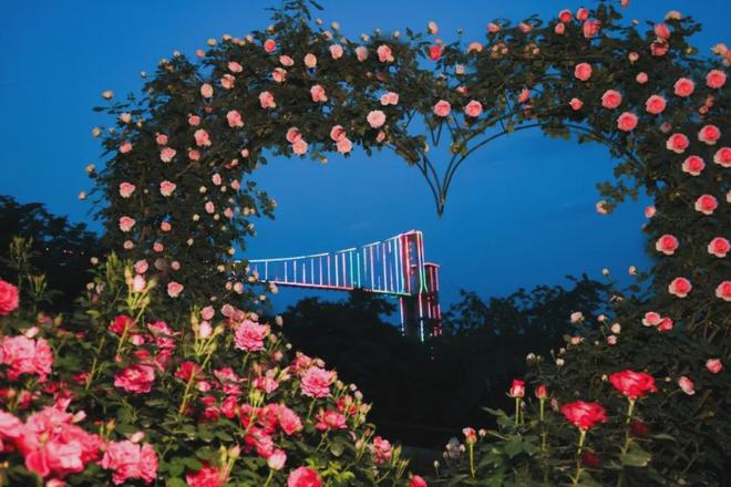 〔读城〕重构代际连接信任：漫花婚恋解密旧枷锁与新钥匙(图1)