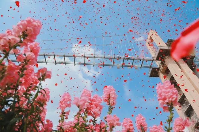 〔读城〕重构代际连接信任：漫花婚恋解密旧枷锁与新钥匙(图2)