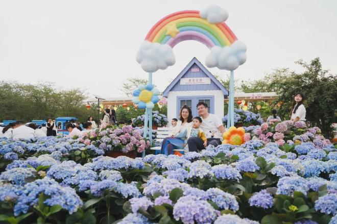 〔读城〕重构代际连接信任：漫花婚恋解密旧枷锁与新钥匙(图3)