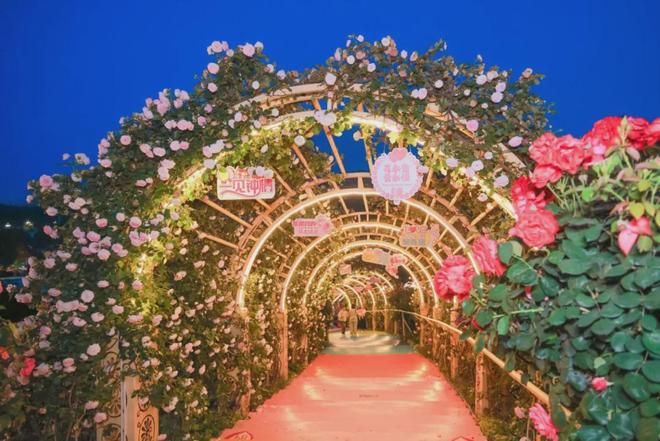 〔读城〕重构代际连接信任：漫花婚恋解密旧枷锁与新钥匙(图5)