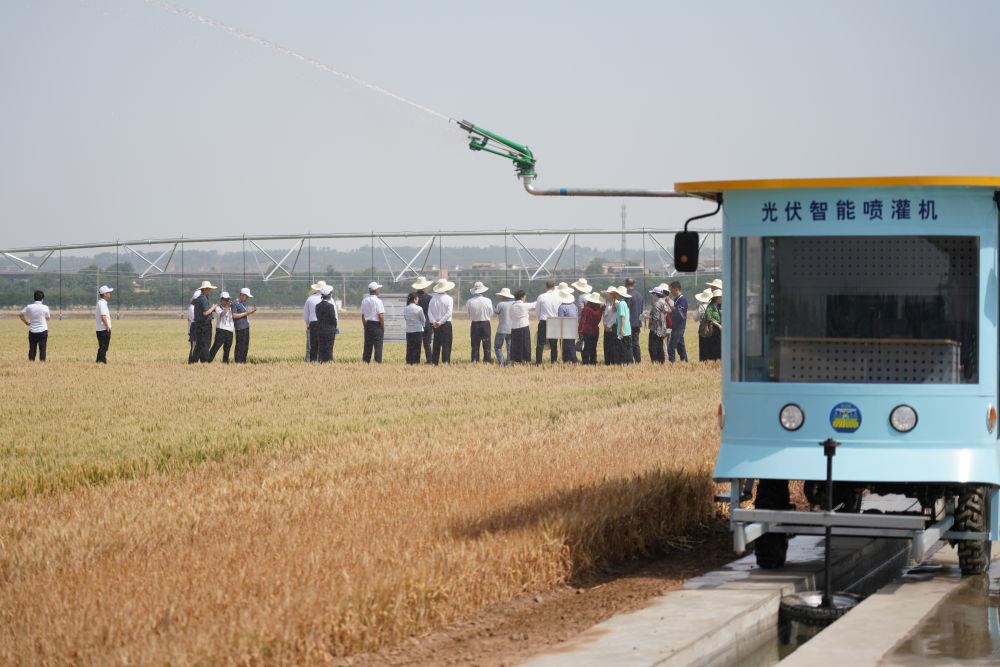 时政微观察丨从习主席引用的古语读懂“上合力量”(图6)