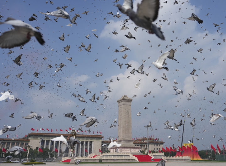 习近平引领中国和平发展的时代启示(图13)