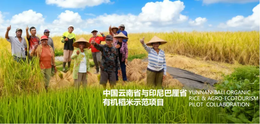 云南省委书记:“一带一路必赢国际”幸福了云南(图3)