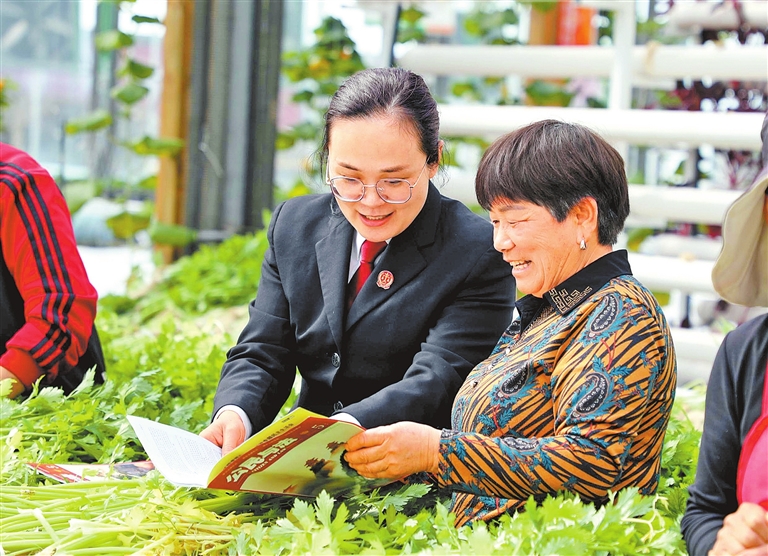 新华网河南频道(图1)