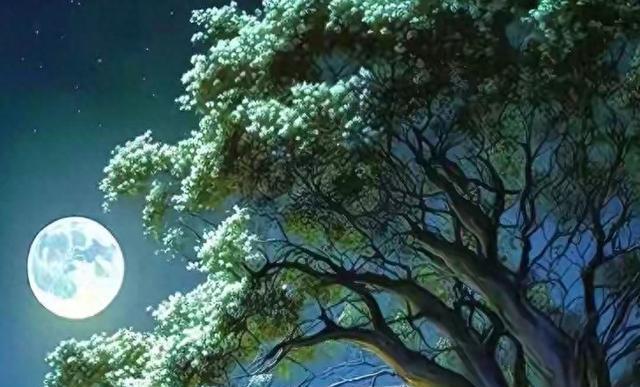 你和谁结婚早就命中注定！这三条天意你逃不掉！(图1)