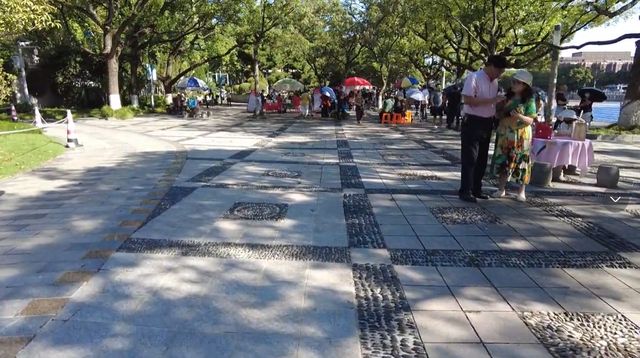 浙江低调的城市公园规模不大绿树成荫国庆节相亲角最闹热(图5)
