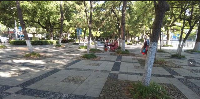 浙江低调的城市公园规模不大绿树成荫国庆节相亲角最闹热(图2)