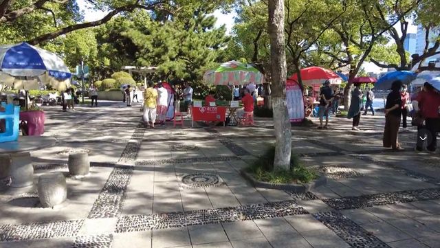 浙江低调的城市公园规模不大绿树成荫国庆节相亲角最闹热(图3)