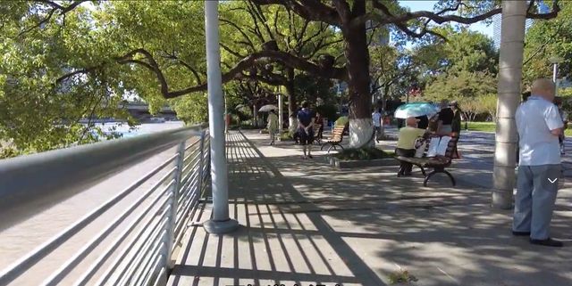 浙江低调的城市公园规模不大绿树成荫国庆节相亲角最闹热(图6)