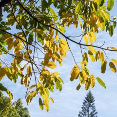 Bwin必赢2024相亲可以学什么专业好(图5)