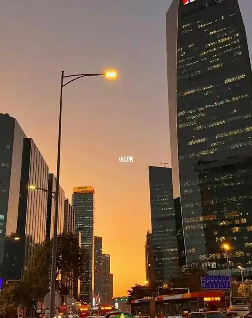 男女比例都这样了为什么网络舆论必赢搞得好像女人比男人更愁嫁一样(图6)