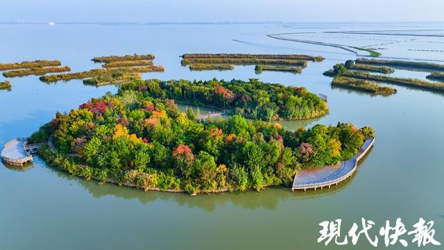 江苏常州金坛文化必赢国际产业（上海）推介会在沪召开(图3)