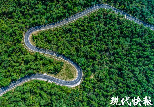 江苏常州金坛文化必赢国际产业（上海）推介会在沪召开(图6)