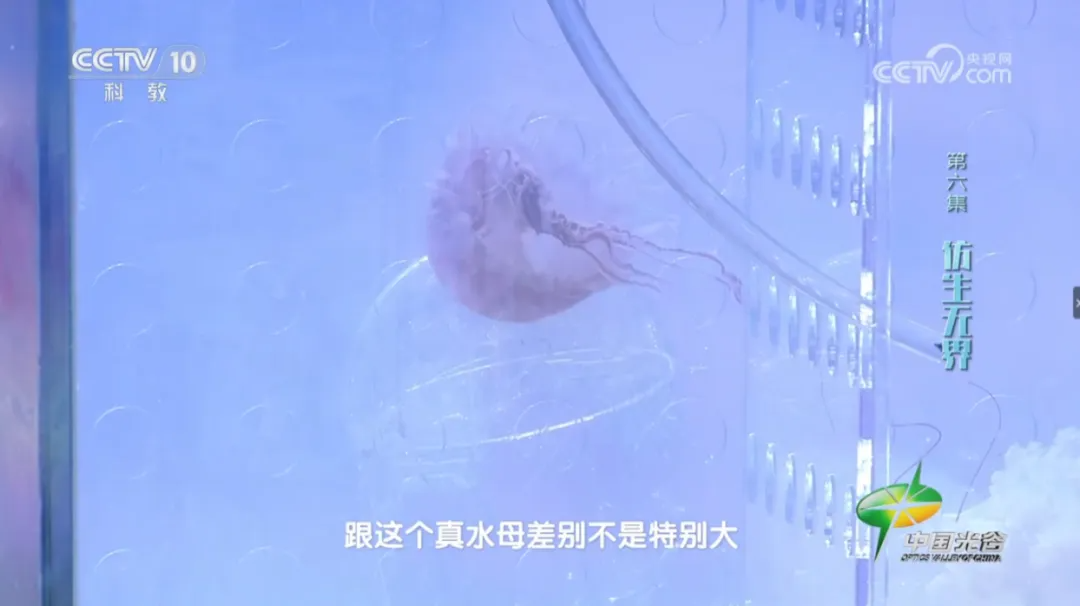 必赢国际包融早报（10月27日）(图2)