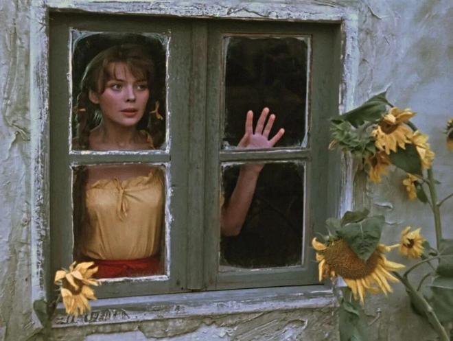 精彩纷呈艺术影院11月片单今日开票!(图10)