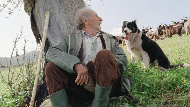 精彩纷呈艺术影院11月片单今日开票!(图34)