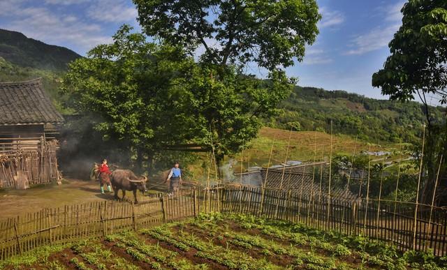 只有一个女儿的家庭未来如何养老?认准3种女婿比亲儿还靠谱(图1)