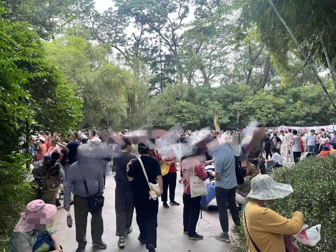 年底“相亲季”!猎德房东也来亮家底Bwin必赢了?(图2)