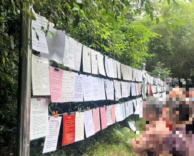 年底“相亲季”!猎德房东也来亮家底Bwin必赢了?(图1)