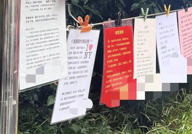 年底“相亲季”!猎德房东也来亮家底Bwin必赢了?(图8)