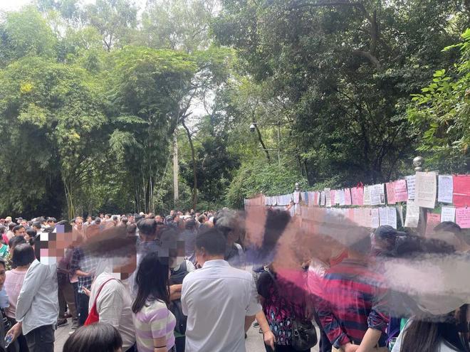 年底“相亲季”!猎德房东也来亮家底Bwin必赢了?(图10)