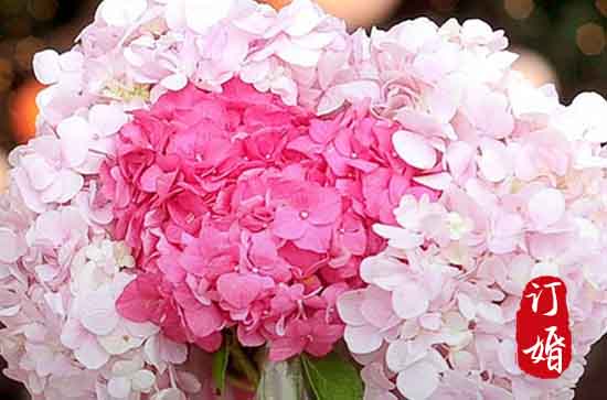 2024年1月28日相亲吉日吗2024年1月相亲黄道吉日Bwin必赢(图1)