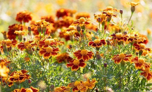 Bwin必赢我同居过3位女性：发现女性45岁后找伴侣主要有3个动因(图1)