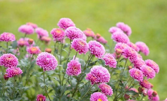 Bwin必赢我同居过3位女性：发现女性45岁后找伴侣主要有3个动因(图3)