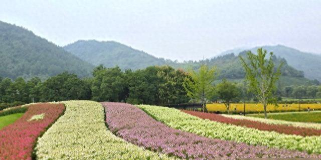 Bwin必赢我同居过3位女性：发现女性45岁后找伴侣主要有3个动因(图2)