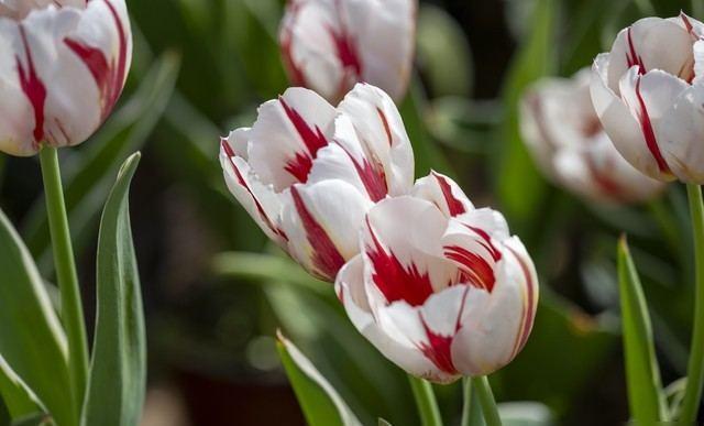 Bwin必赢我同居过3位女性：发现女性45岁后找伴侣主要有3个动因(图4)