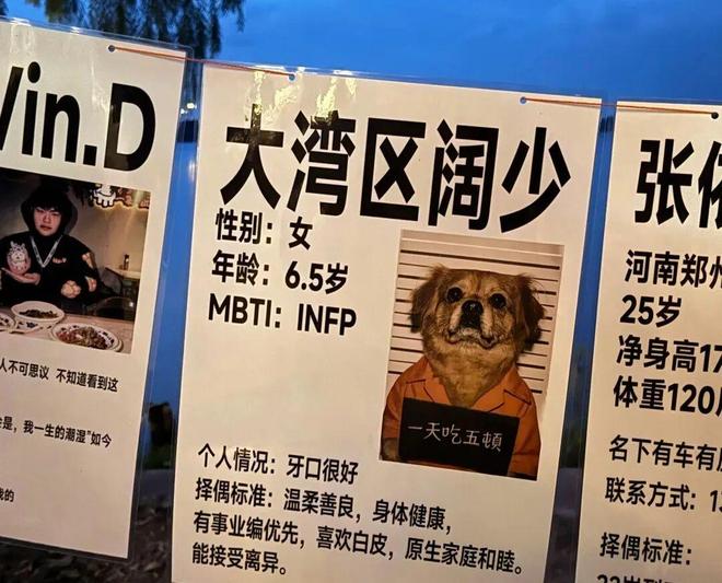 宠物相亲藏着它经济的下一个风口(图4)