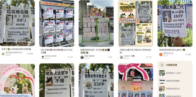 宠物相亲藏着它经济的下一个风口(图3)