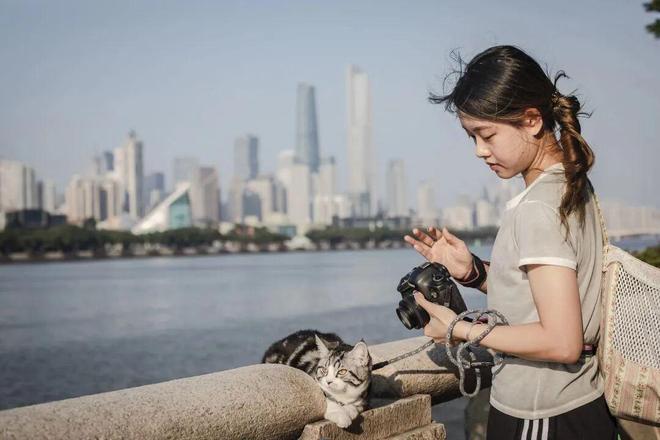 宠物相亲藏着它经济的下一个风口(图6)