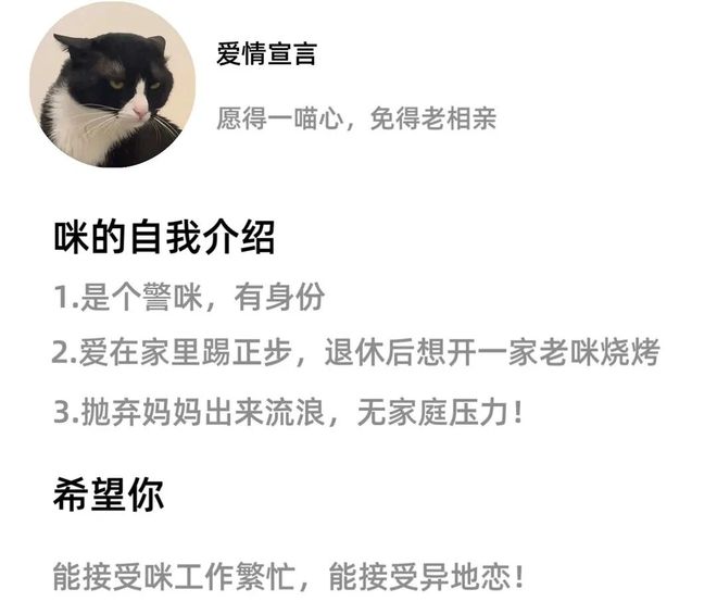 宠物相亲藏着它经济的下一个风口(图1)