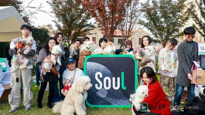 宠物相亲藏着它经济的下一个风口(图5)