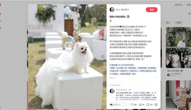 宠物相亲藏着它经济的下一个风口(图7)