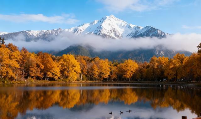 一个家庭最大的灾难是父母五六十岁了;还随意泄露家庭隐私(图1)