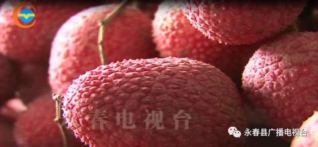 永春一货车违载十余人被查▶给力！刘珊珊学费有着落了▶平安吾峰文艺晚会▶为逼女子打胎男Bwin必赢子跳楼嫌热又跳河▶司机连砍交警十几刀(图11)