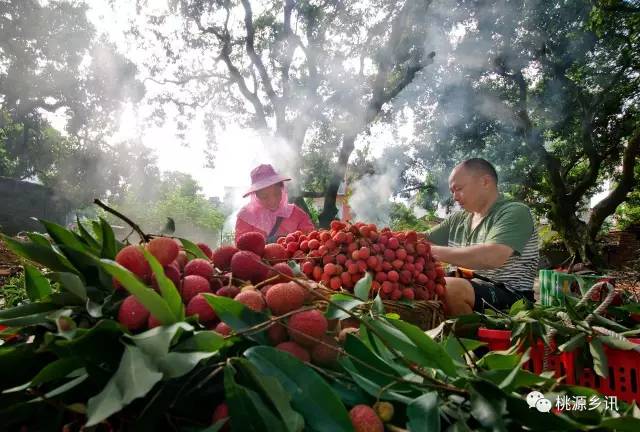 永春一货车违载十余人被查▶给力！刘珊珊学费有着落了▶平安吾峰文艺晚会▶为逼女子打胎男Bwin必赢子跳楼嫌热又跳河▶司机连砍交警十几刀(图4)