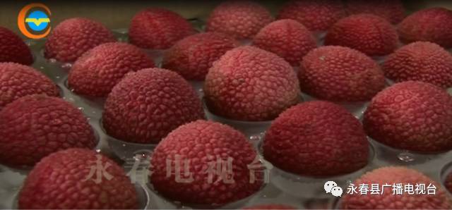 永春一货车违载十余人被查▶给力！刘珊珊学费有着落了▶平安吾峰文艺晚会▶为逼女子打胎男Bwin必赢子跳楼嫌热又跳河▶司机连砍交警十几刀(图10)