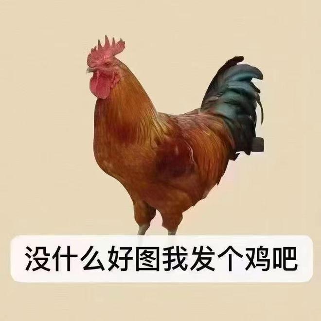 轻松一刻：请相亲对象吃这个不算寒酸吧？(图1)