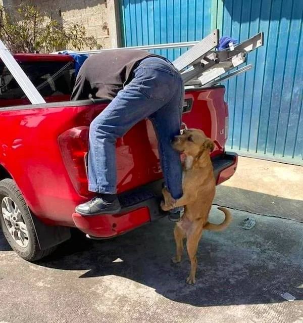 轻松一刻：请相亲对象吃这个不算寒酸吧？(图12)