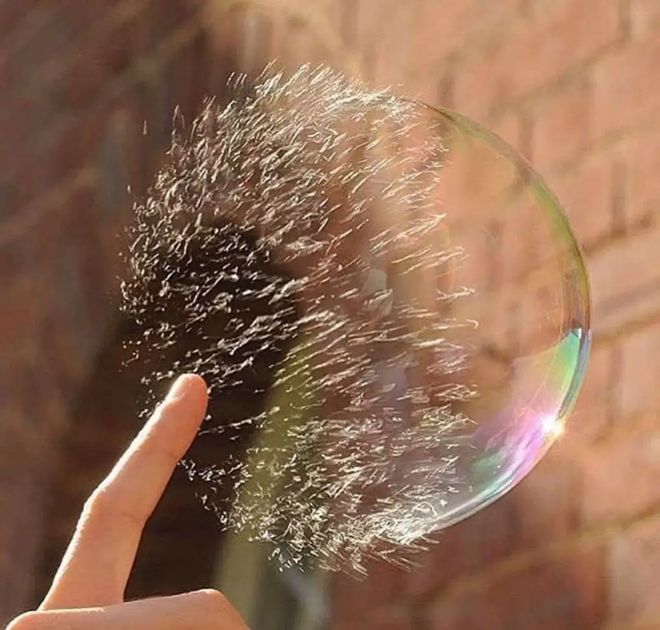 轻松一刻：请相亲对象吃这个不算寒酸吧？(图15)