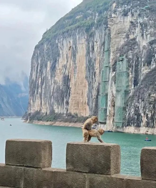 轻松一刻：请相亲对象吃这个不算寒酸吧？(图16)