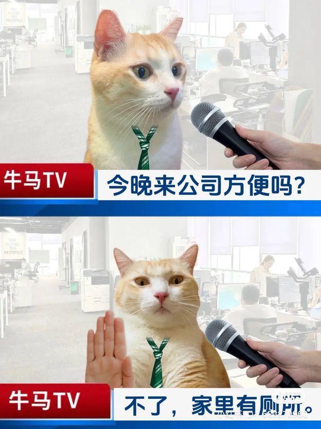 轻松一刻：请相亲对象吃这个不算寒酸吧？(图19)