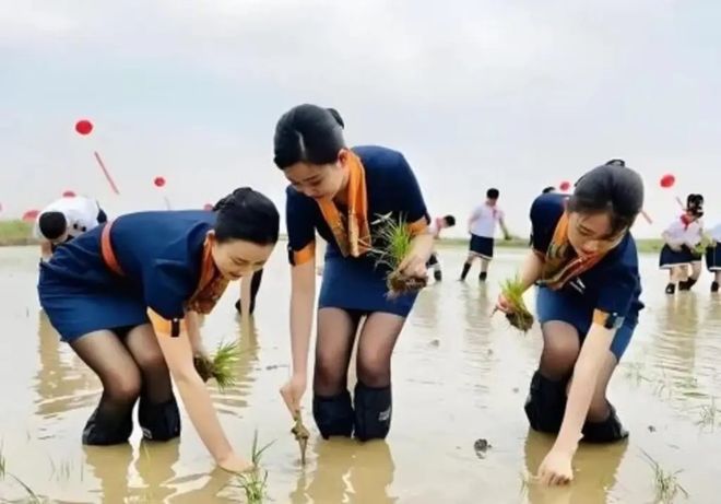 轻松一刻：请相亲对象吃这个不算寒酸吧？(图17)