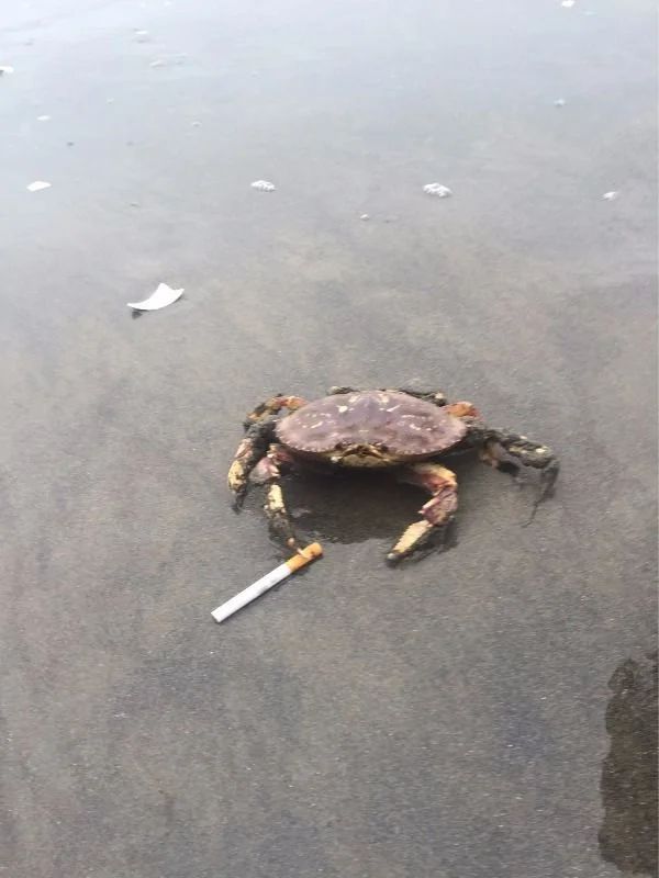 轻松一刻：请相亲对象吃这个不算寒酸吧？(图21)