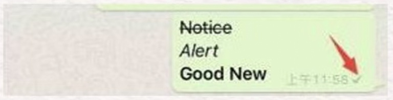 WhatsApp海外版(图1)