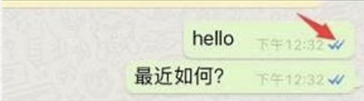 WhatsApp海外版(图3)